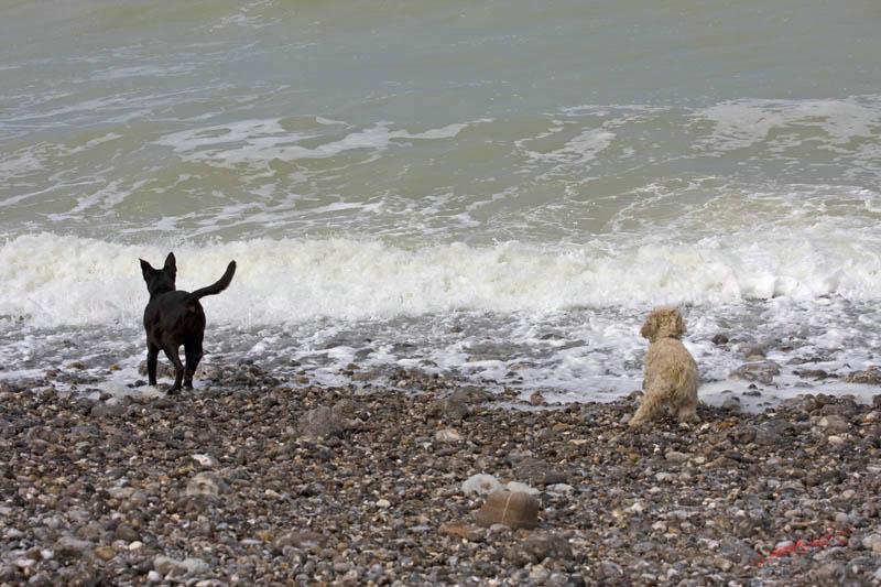 Cjp_2010_04_14_132905 (1).jpg